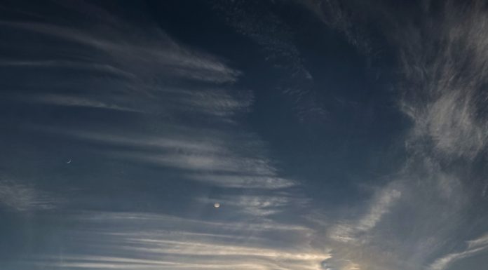 Letting Go of Armor, Leaning Into Authenticity, and Why Wit & Delight Is Still Here